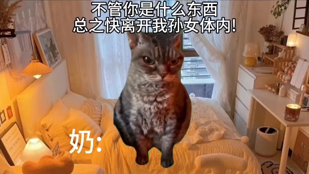 [图]【猫meme】用cn拿快递后奶奶以为我被野飘夺舍