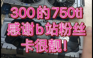 收到粉丝自用的300元750ti 显卡二片,都保存得挺好的,测过没问题.要注意,其中一个双dvi一mini hdmi 另一个通用hdmi dvi vga哔哩哔哩bilibili