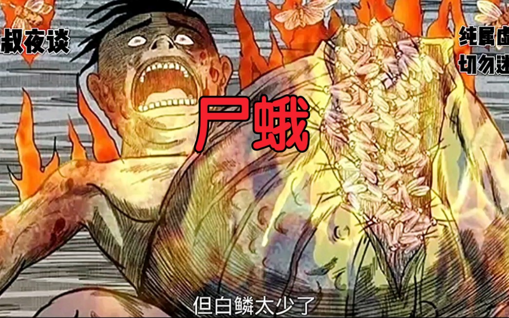 欢迎收看民间故事之尸蛾