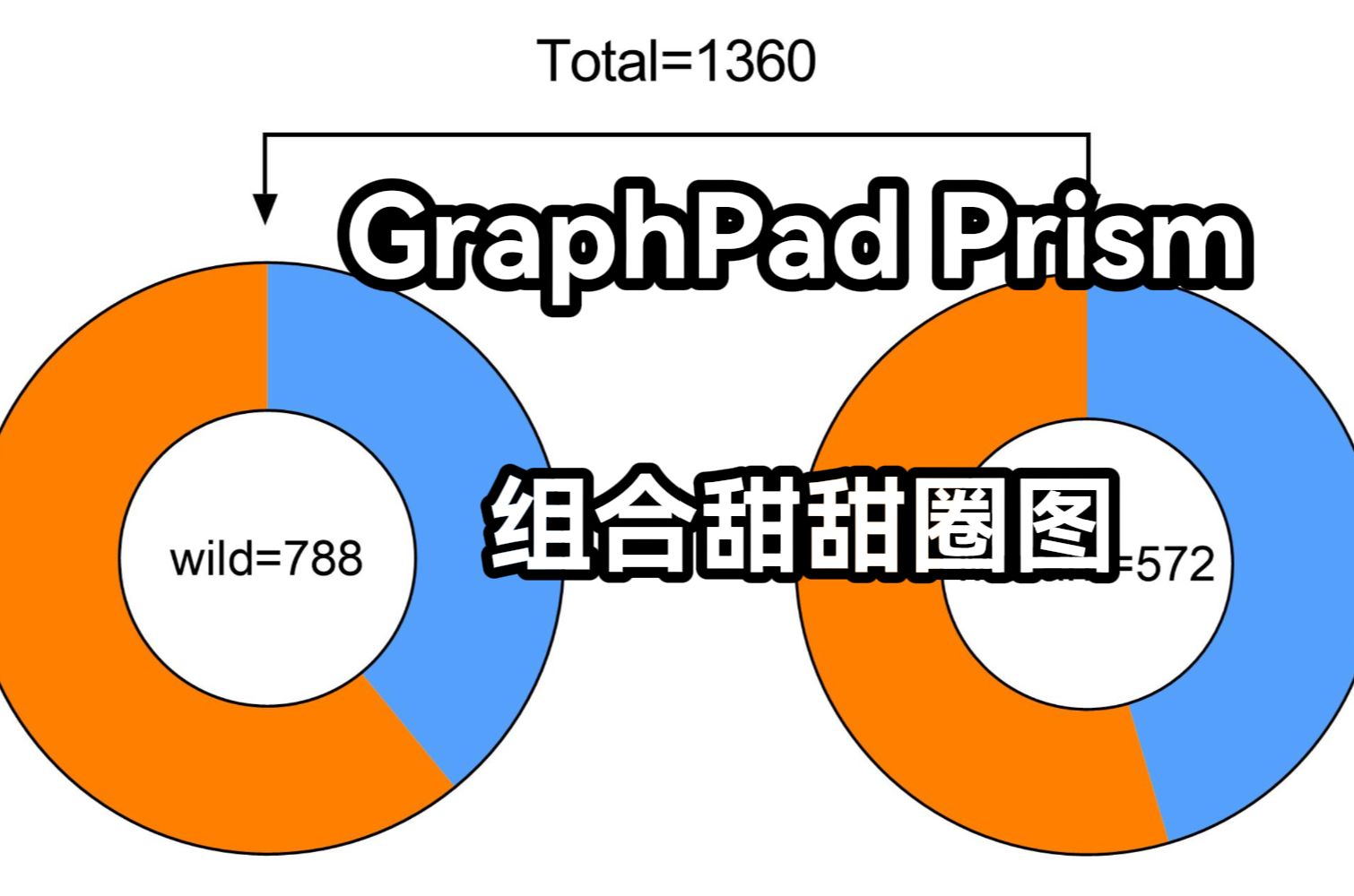 【Graphpad Prism】画组合甜甜圈图哔哩哔哩bilibili