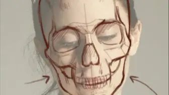 头骨画法｜眼眶和颧弓画错，全局比例都会崩！一招教你彻底搞定！