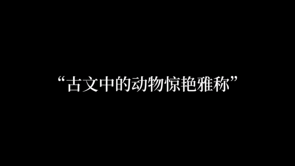 “正顺,元贵,金翼使”哔哩哔哩bilibili