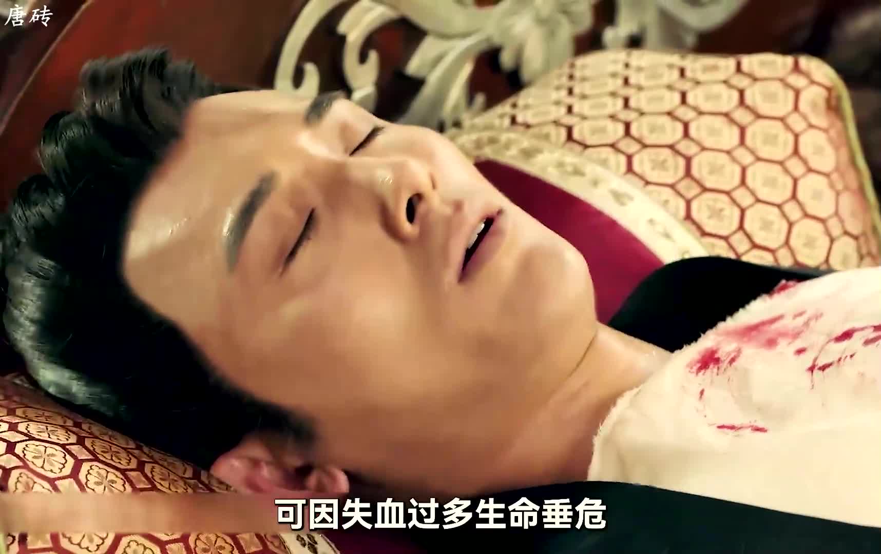 唐砖:好剧必看哔哩哔哩bilibili