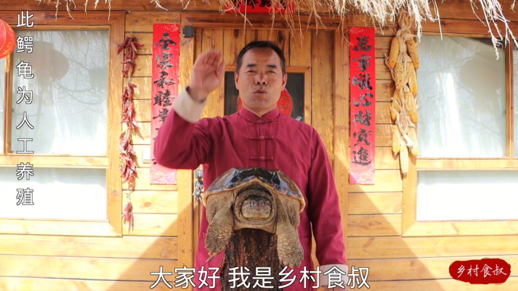 荷叶烤鳄龟太香了滋滋冒油麻辣鲜香味道好极了