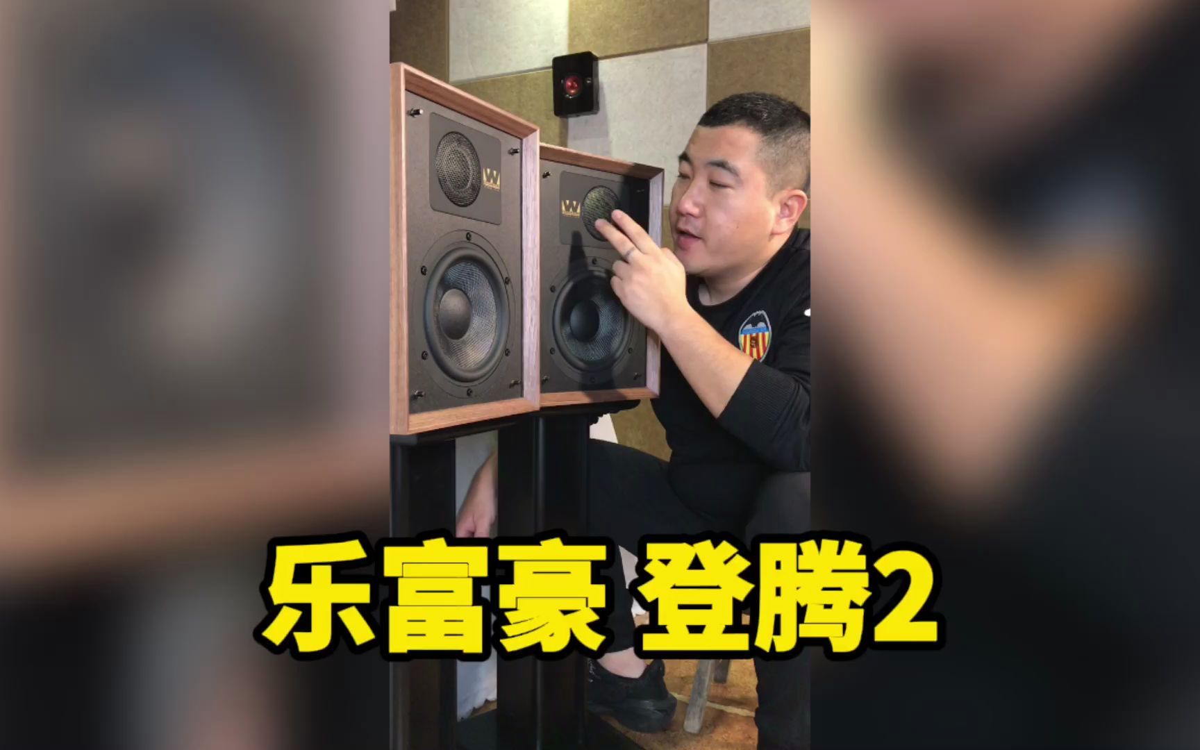 乐富豪登腾2书架音箱 85周年纪念版,声音很是好听!哔哩哔哩bilibili