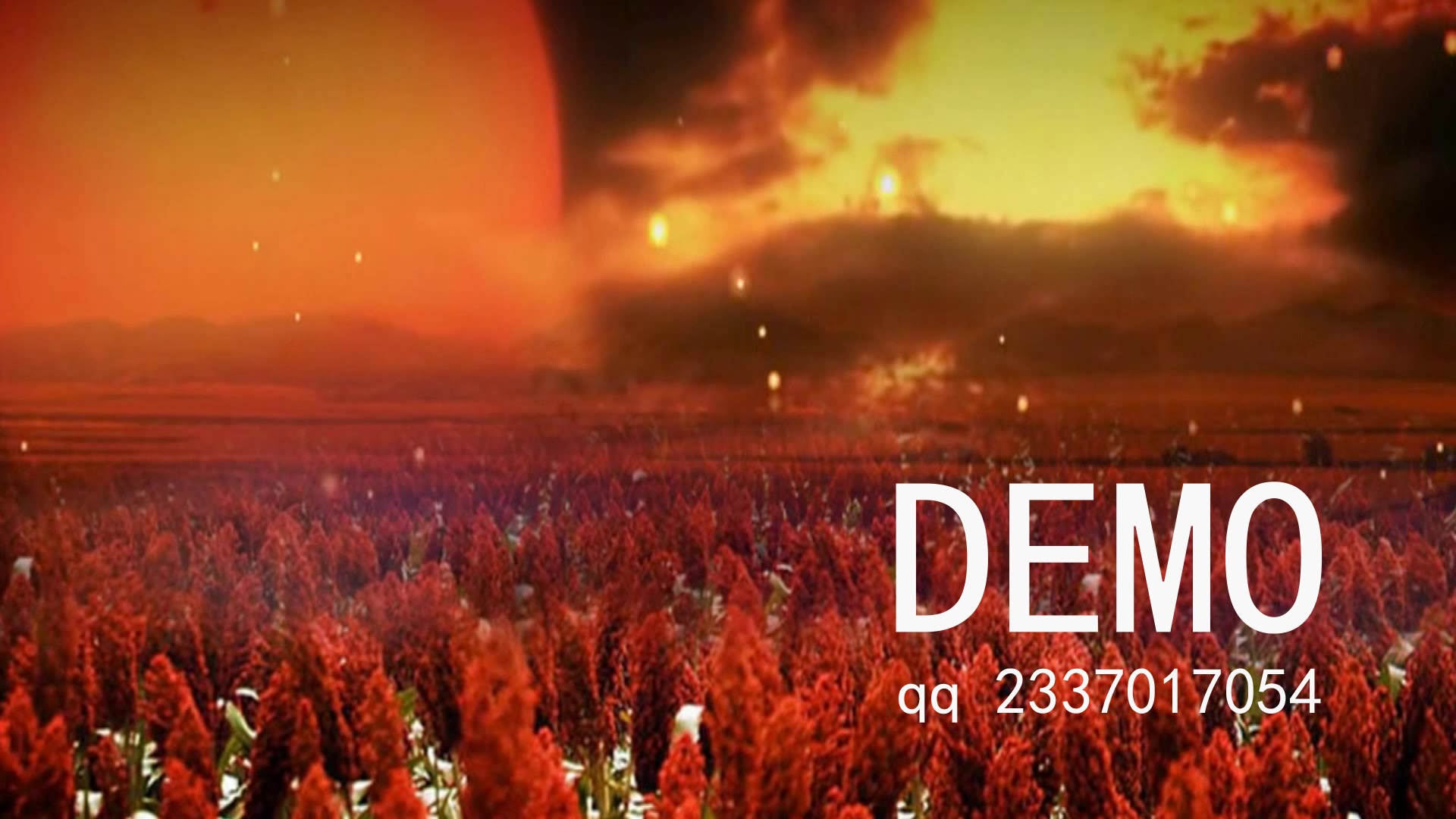 九儿 原唱 红高粱舞台背景led动态视频素材_(new)_哔哩哔哩_bilibili