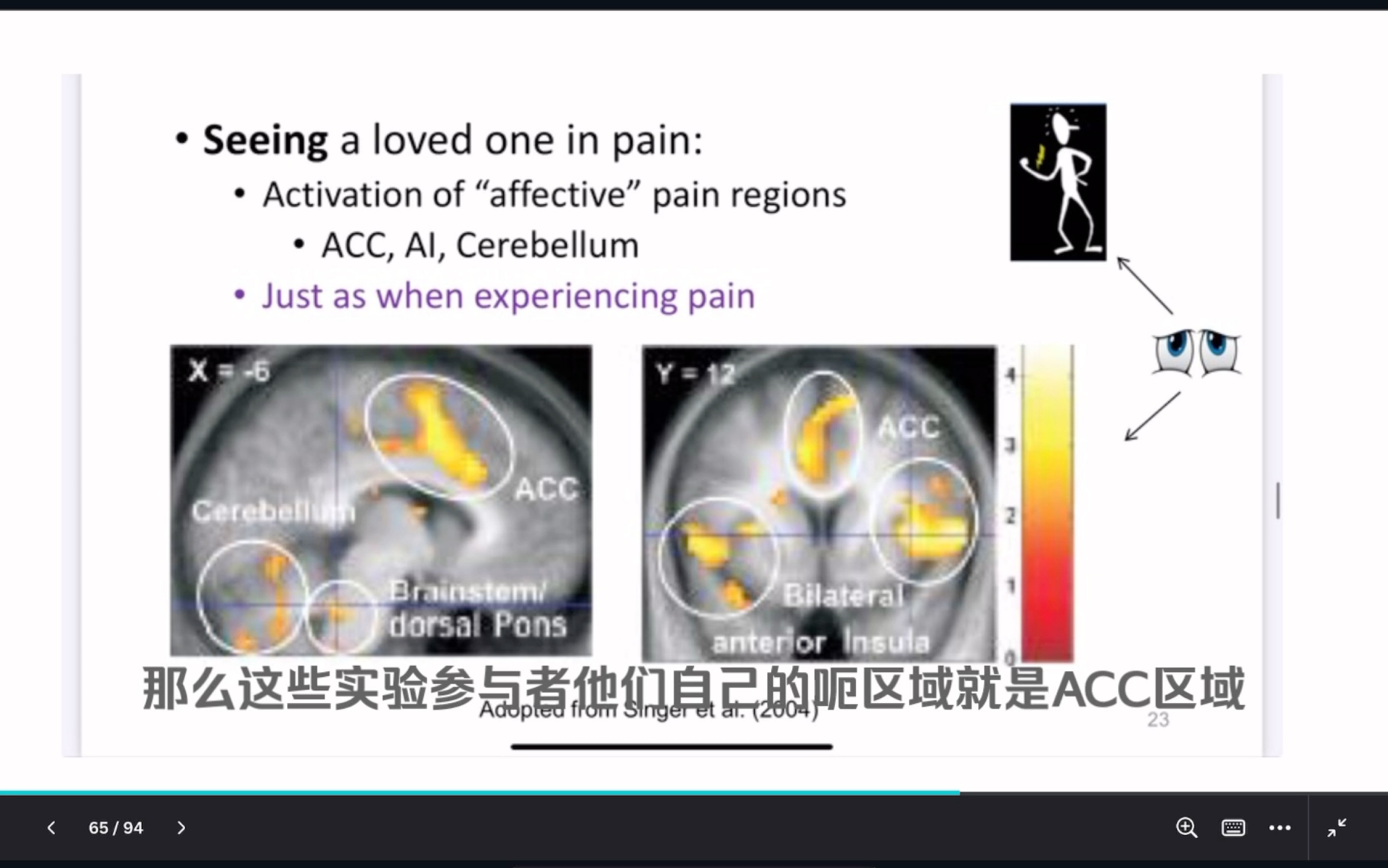 【认知神经科学入门】前扣带皮层:看到爱的人被电击,好像自己也很疼一样哔哩哔哩bilibili