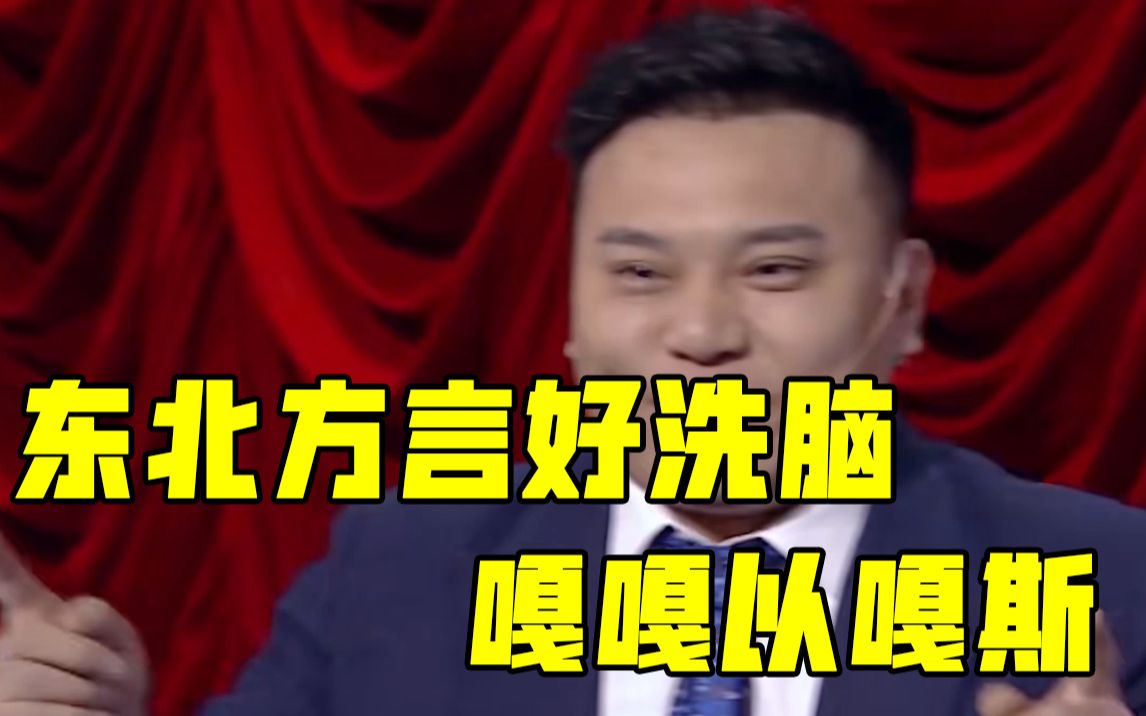 欢乐喜剧人田娃只可意会的东北方言好洗脑