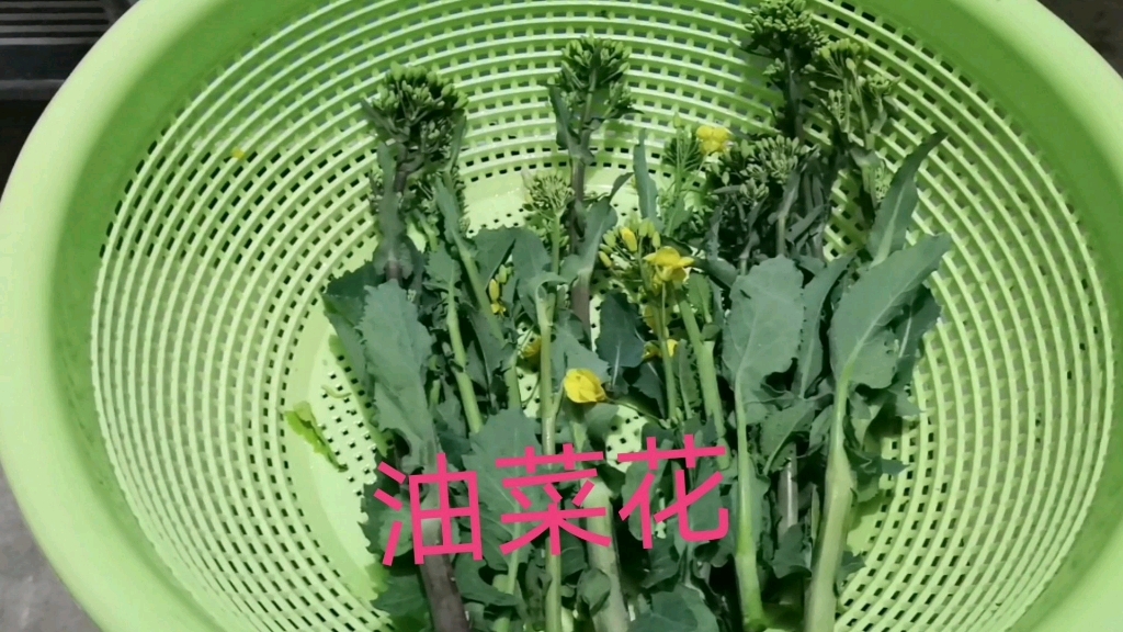 油菜花这样炒着吃,味道太好了哔哩哔哩bilibili