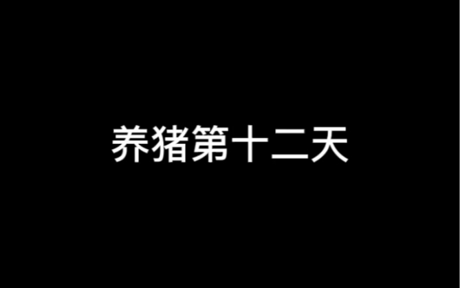 在富川广东温氏养猪的第十二天,今天聊聊工作状态.哔哩哔哩bilibili