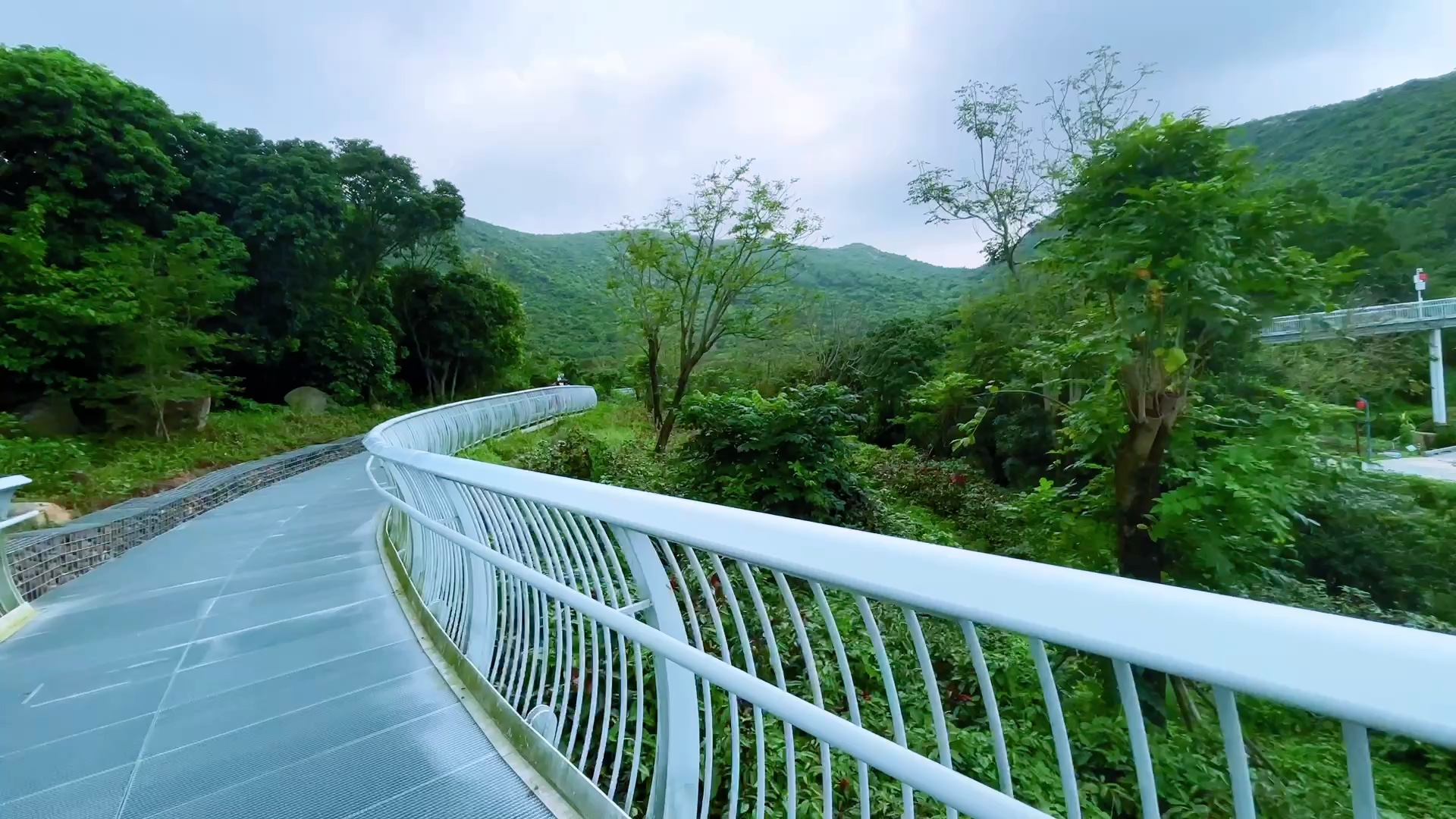 木头冲村十花海鹤道