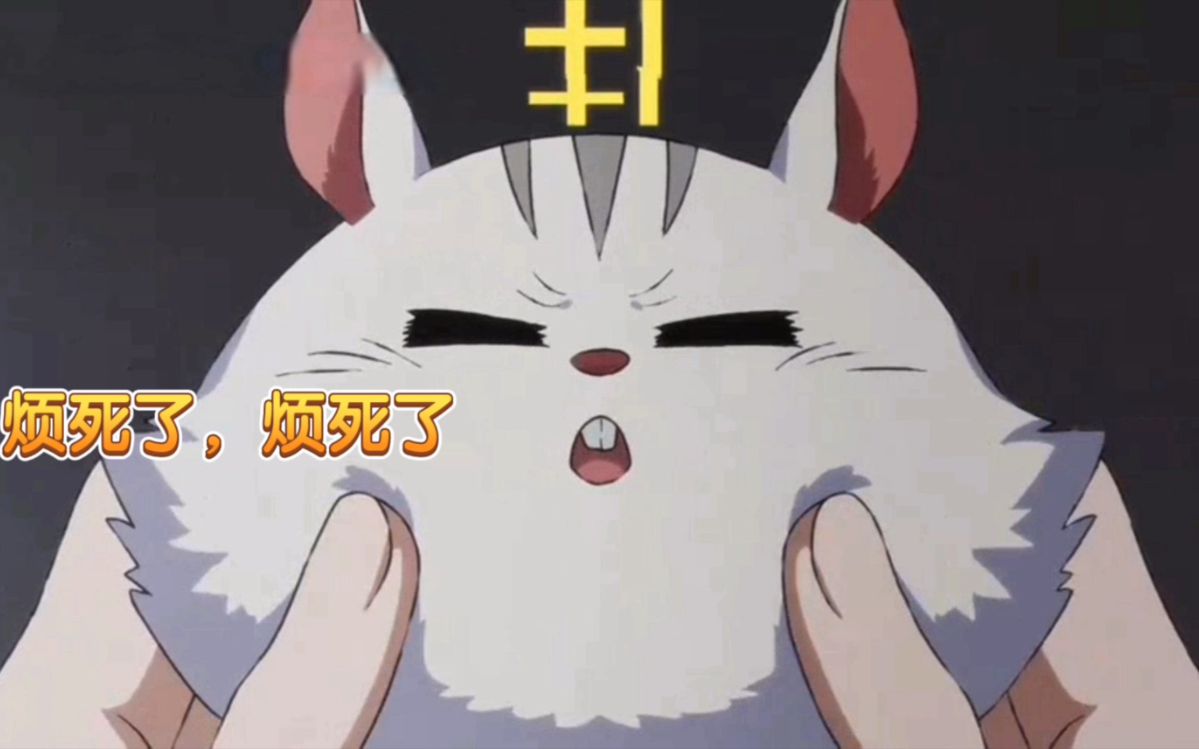 我被这只"小凶许"狠狠拿捏了