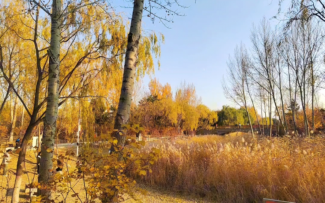 微逃离企划——扎达盖公园