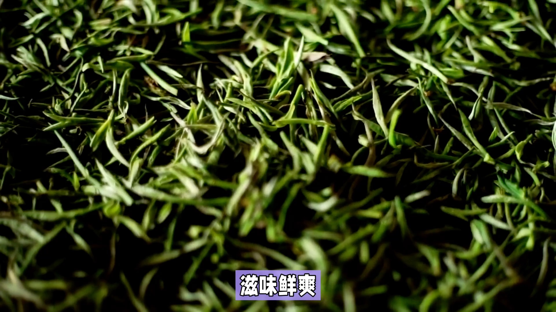 綠茶知識分享:四大品種特點一覽