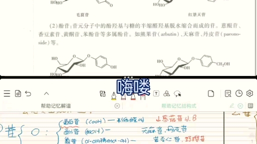 中药化学篇,苷类结构相关知识点哔哩哔哩bilibili