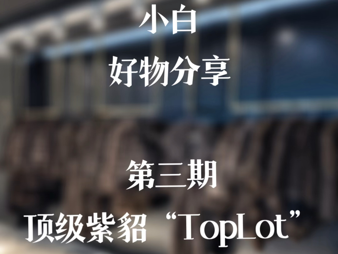 小白好物分享——顶级紫貂Toplot哔哩哔哩bilibili