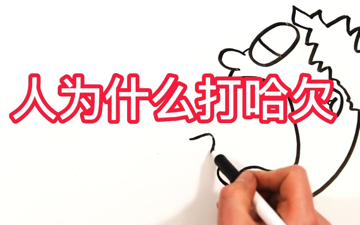 人为什么打哈欠