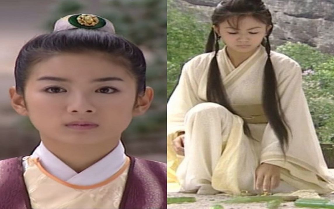 (新女驸马 大唐双龙传)驸马师妃暄cp组