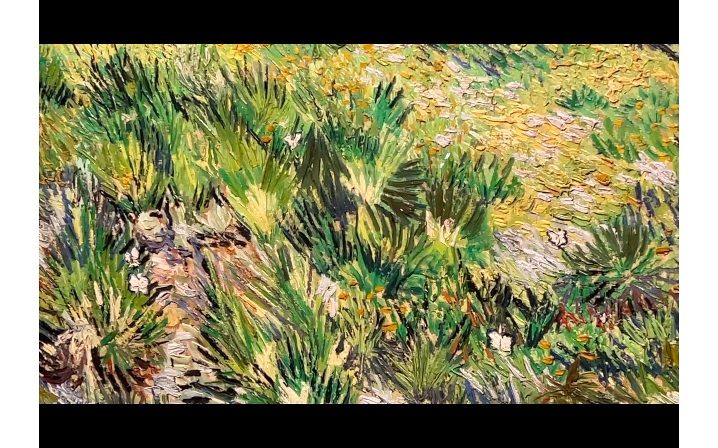 文森特·梵高(vincent van gogh)1853-1890, 荷兰人,《长草地与蝴蝶》