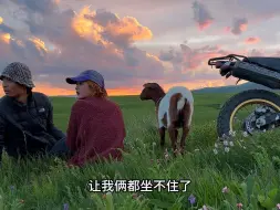 下载视频: 今天看狗遛人