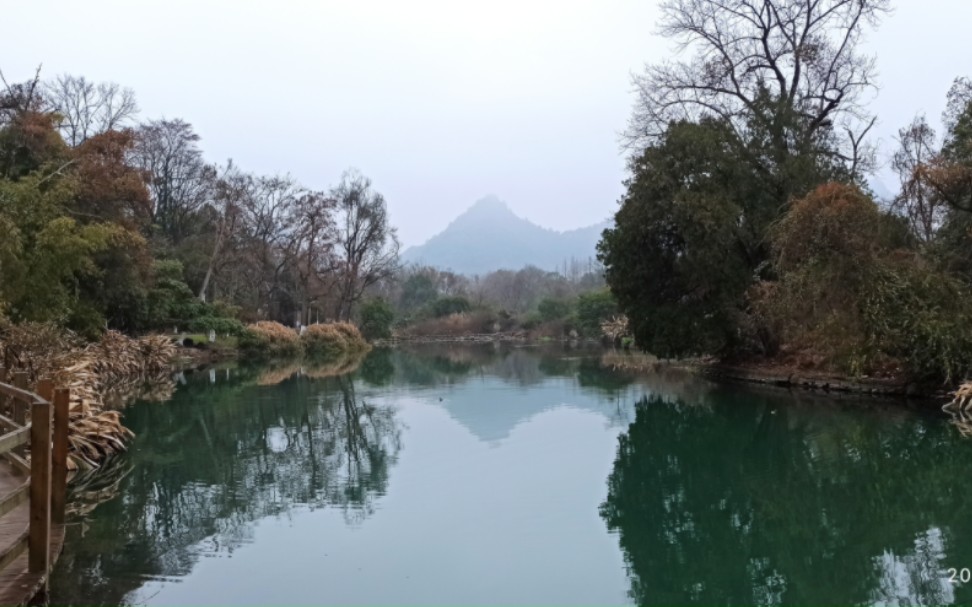 真山真水到处是,花溪布局更天然