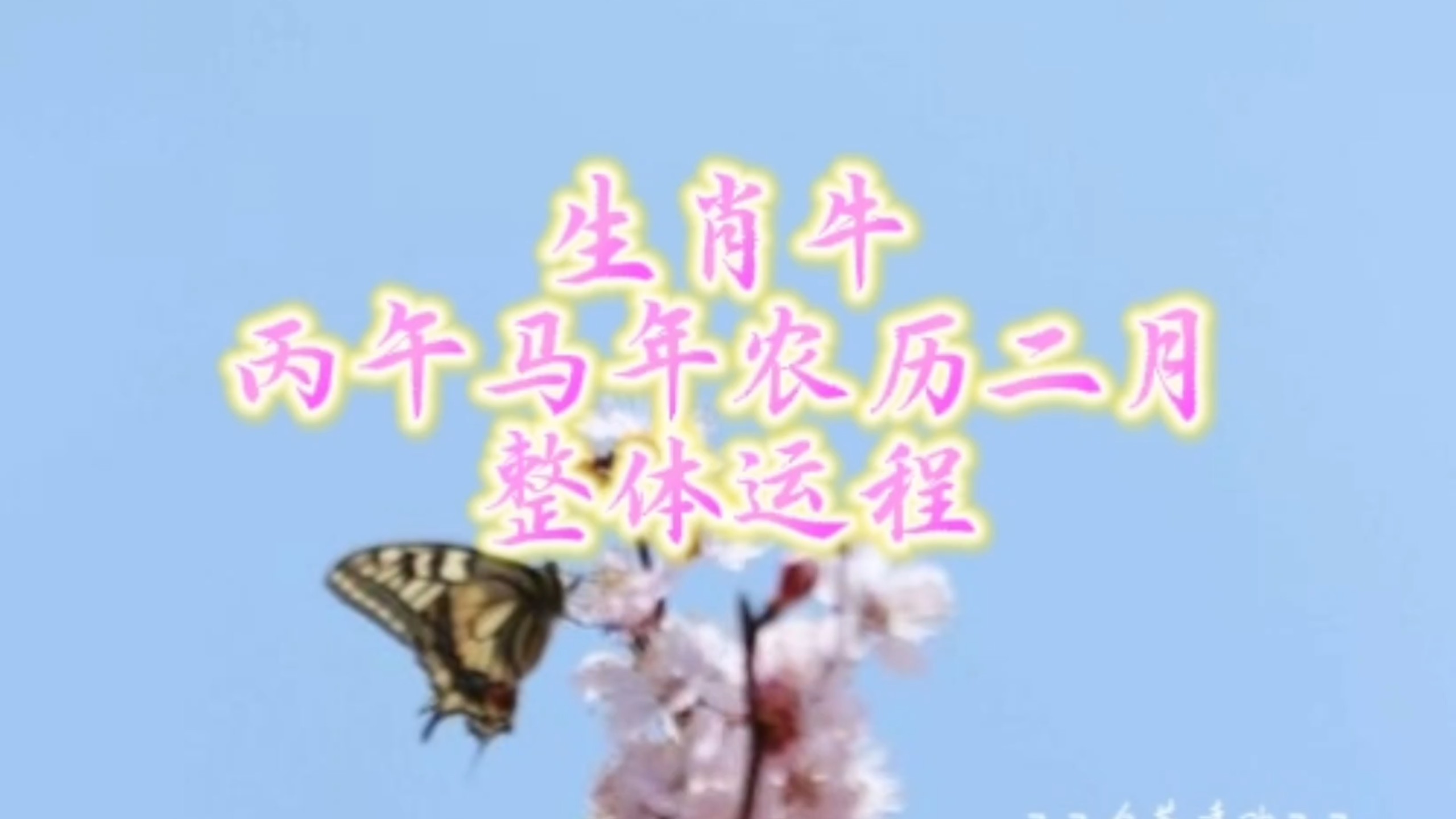 生肖牛下周运势查询吉日(属牛人下周运势如何)