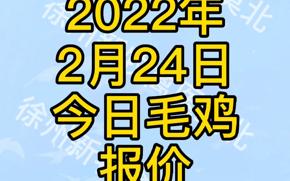 2022年2月24日,今日大肉食毛鸡报价稳定,市场毛鸡出栏量较少,屠宰场企业复工试产,毛鸡价格相对稳定预计今晚毛鸡报价稳定在3.7元左右.哔哩哔哩...