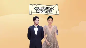 Download Video: 《去有风的地方》演员征战红毯，谢之遥霸气有余，许红豆高贵美飒