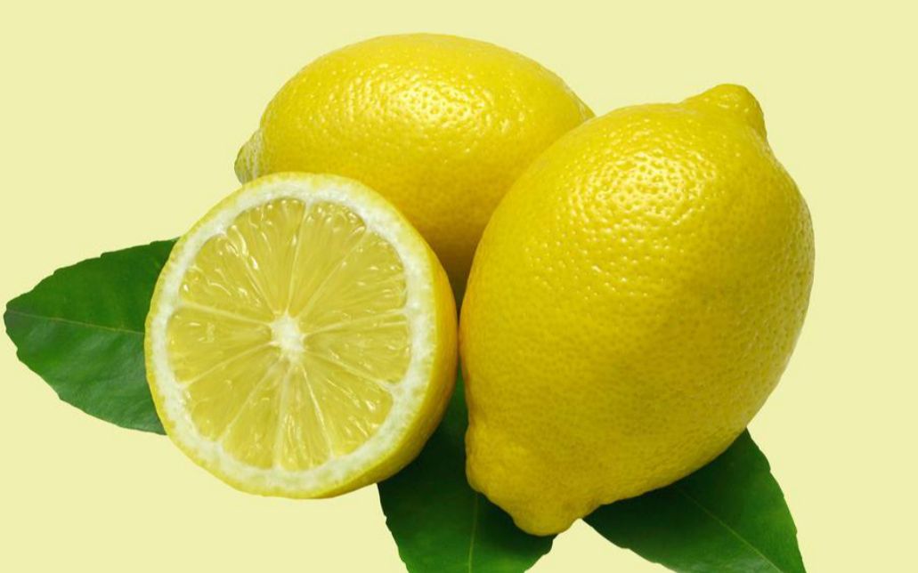 【云果树】阳台天台柠檬柠果种植实况每月一更第一期,还有更多果树