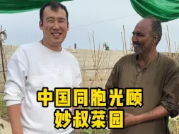 Скачать видео: 中国同胞光顾妙叔菜园