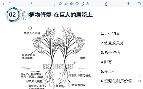 生态治理3植物修复与选择综合思路哔哩哔哩bilibili