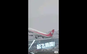 Download Video: 噗宝已经起飞🛫回国辣！！福宝正式告别爱宝乐园/3岁福宝顺利毕业～福宝今后熊生加油！ee永远爱你😘