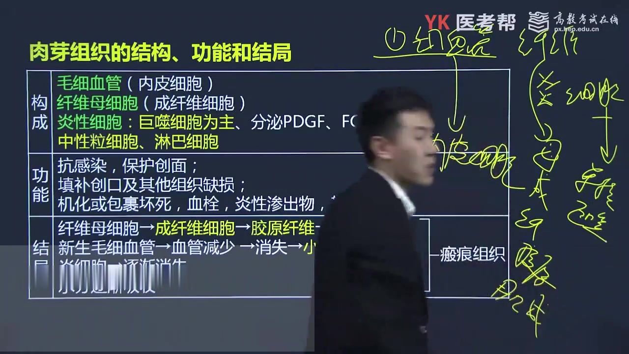 病理学——徐琦（全集） - 影音视频 - 小不点搜索