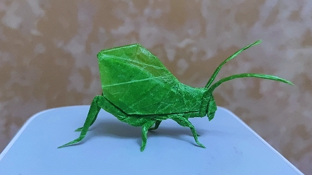 折纸昆虫螽斯!丁丁爱折纸!