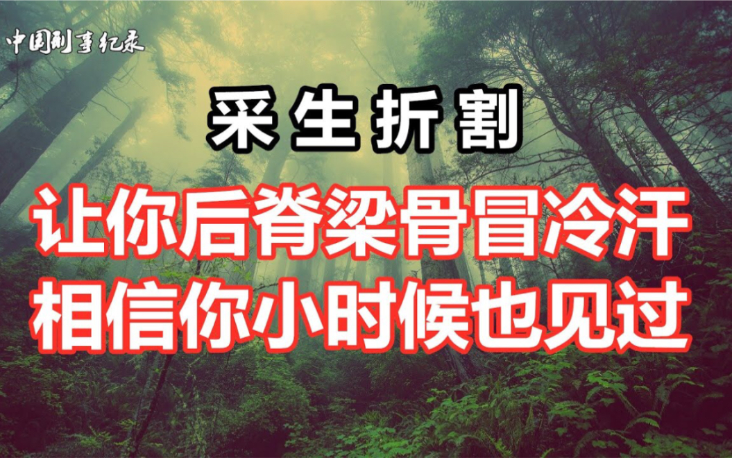 采生折割——让你后脊梁骨冒冷汗 相信你小时候也见过哔哩哔哩bilibili