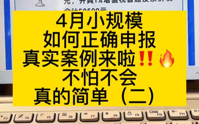 会计实操丨4月份小规模如何正确申报❗丨零基础学会计哔哩哔哩bilibili