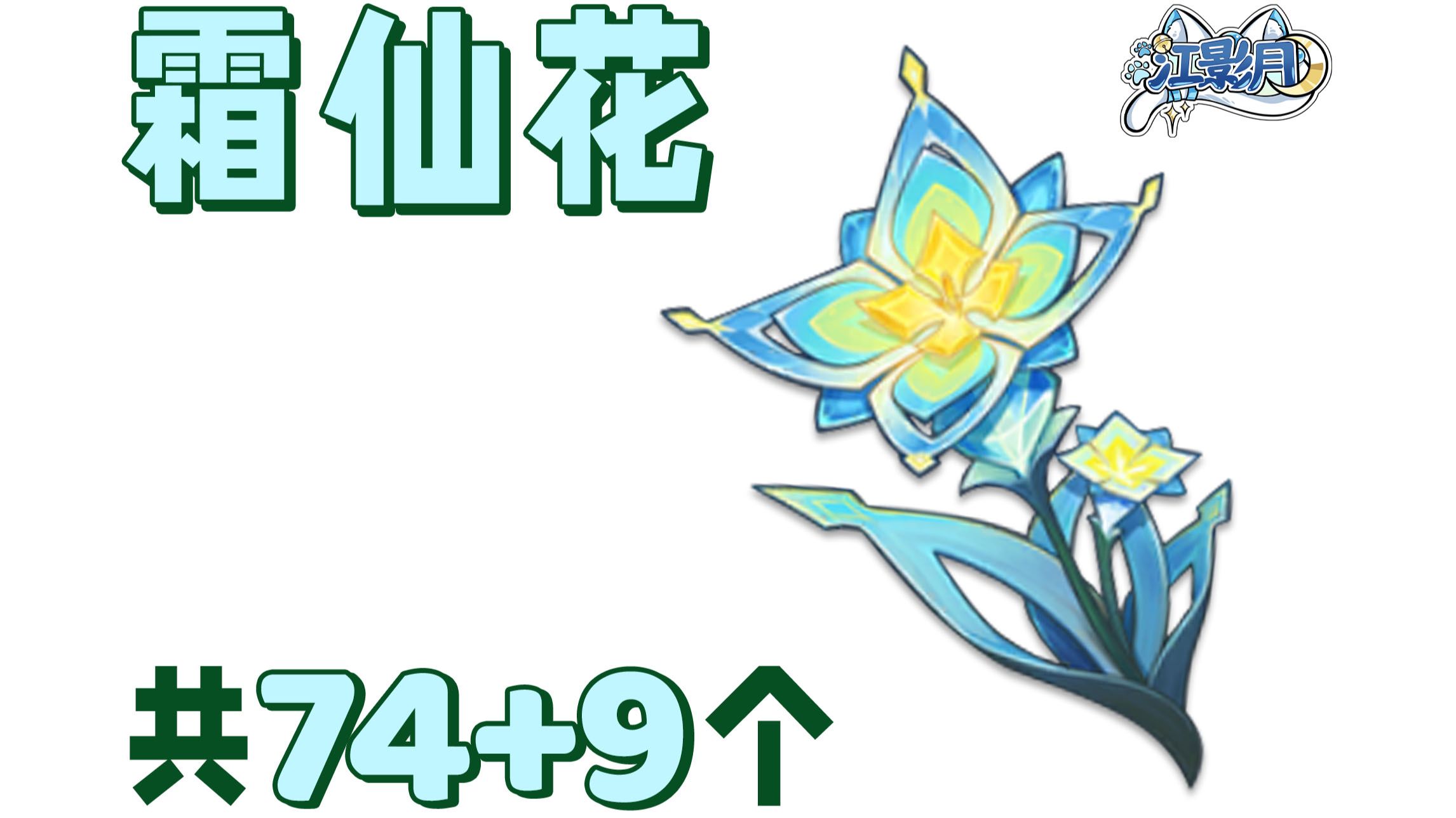 【原神 霜仙花】共74+9个！奥黛塔的突破材料/至冬特产/分路线收集/贴心领跑防迷路