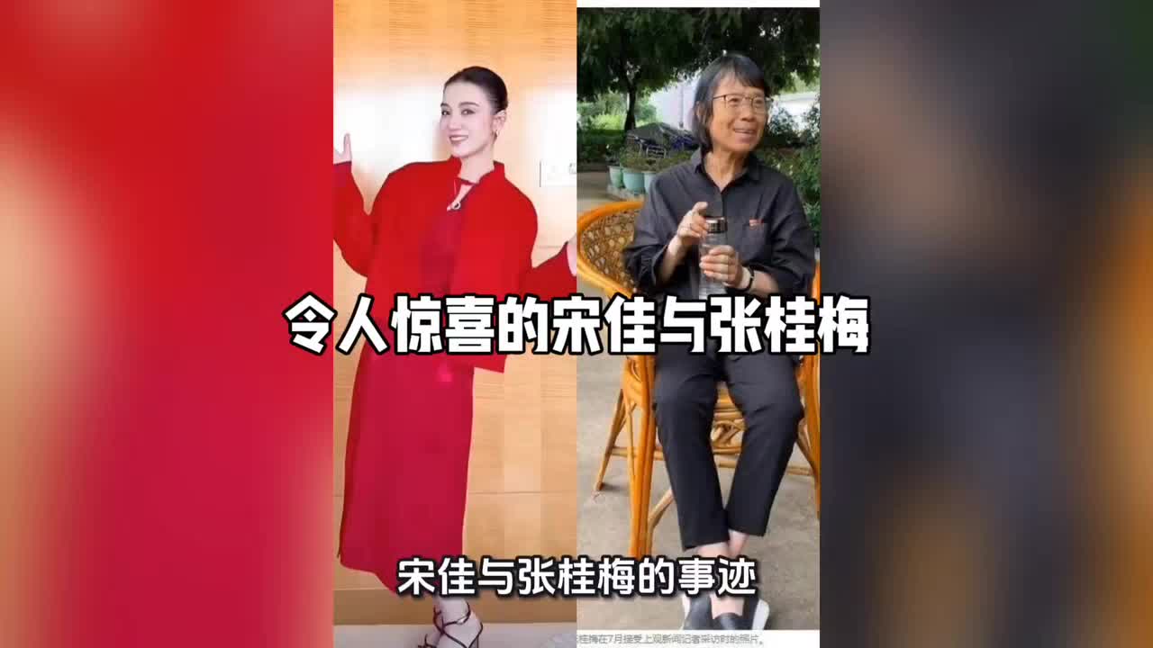 令人惊喜的宋佳与张桂梅