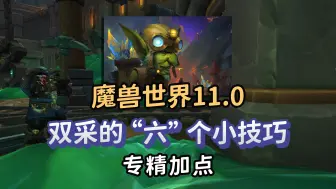 Download Video: 魔兽世界11.0 双采的六个小技巧