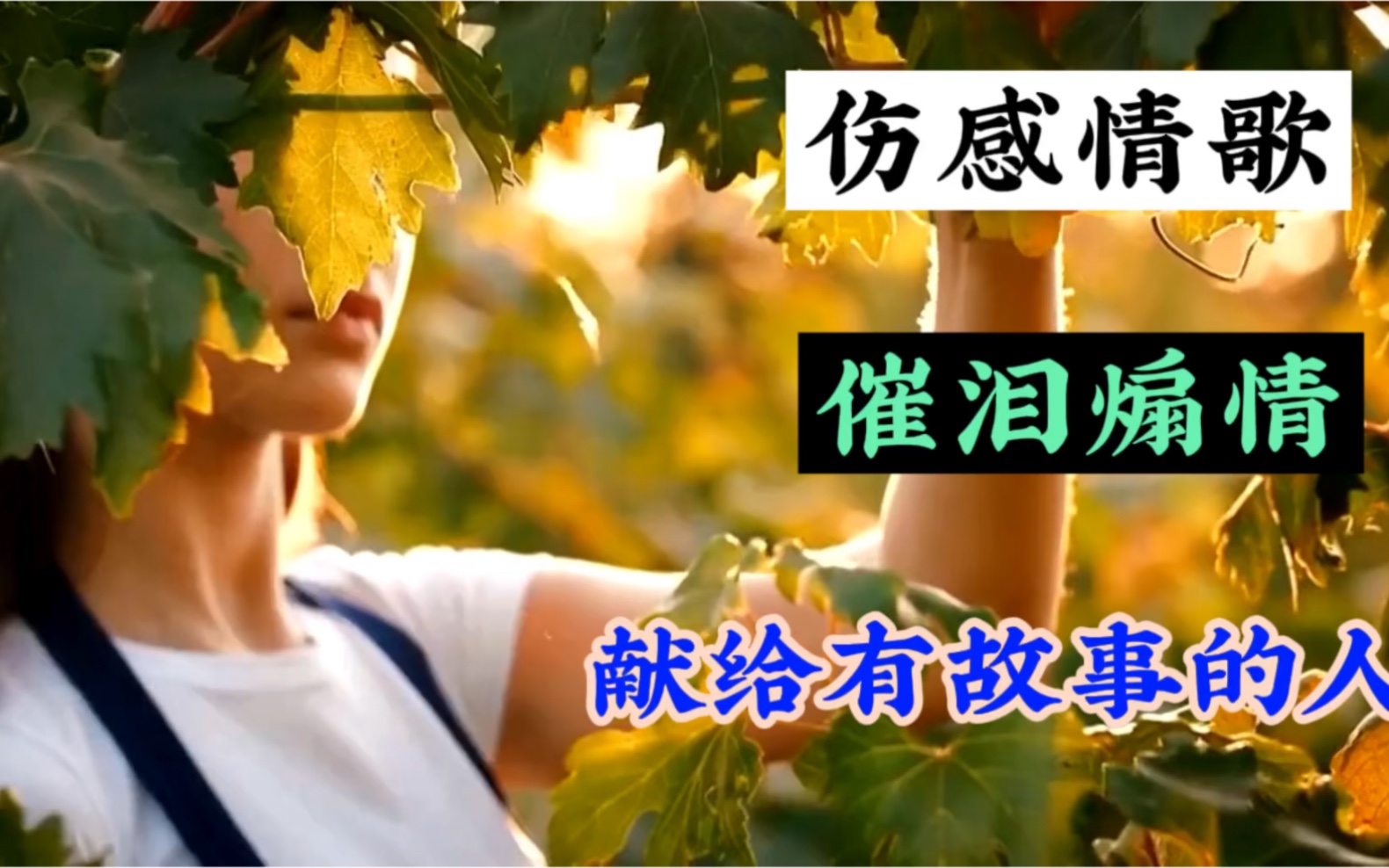 [图]非常好听的歌曲《多想抱抱你》由龙翼深情演唱送给喜欢音乐的朋友们