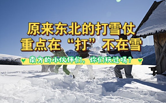 原来东北的打雪仗,重点在"打"不在雪,南方的小伙伴们,你们玩过吗?