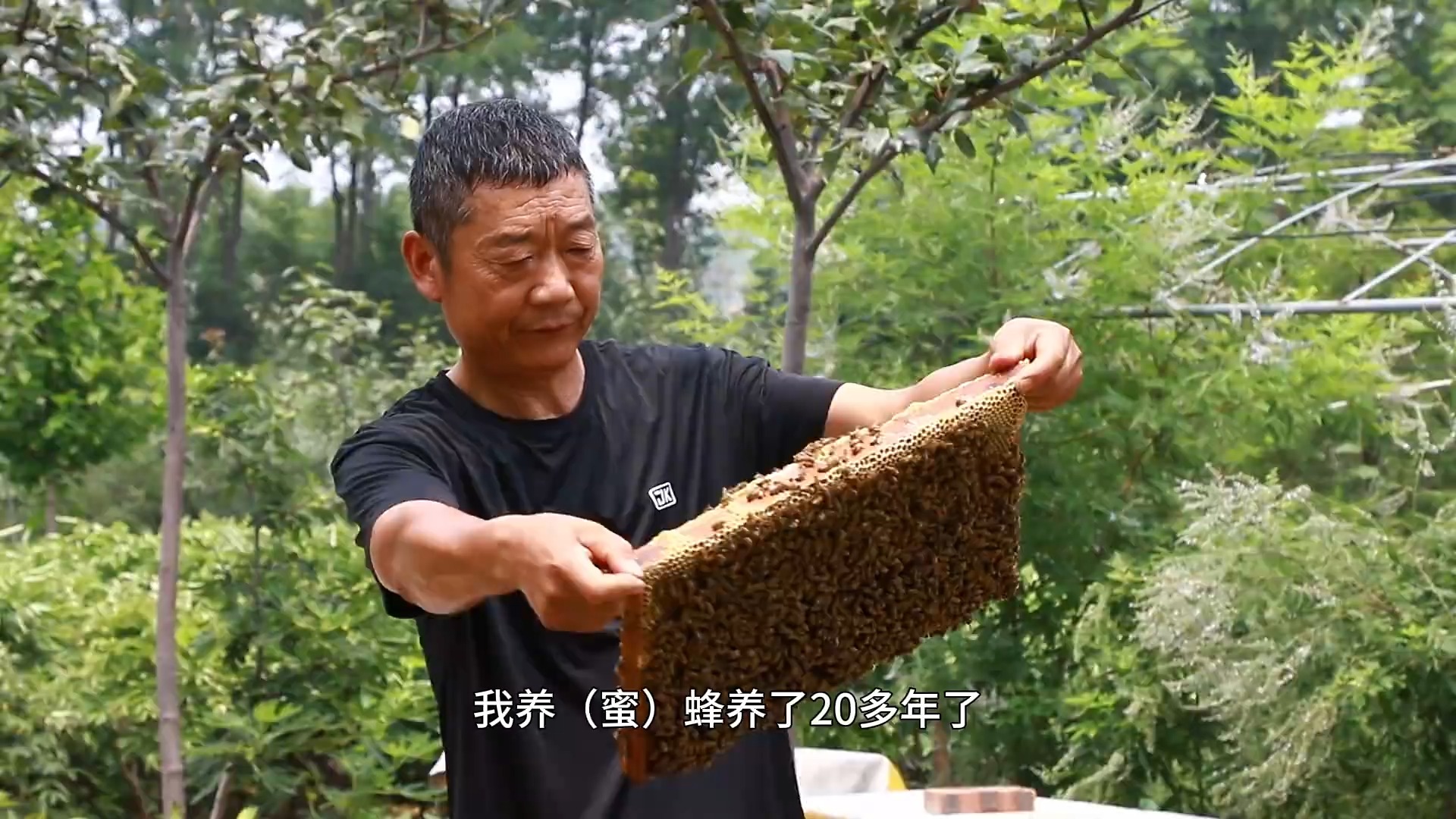 临沂市罗庄区:小小庭院微“蜂”景 乡村振兴有“蜜”方哔哩哔哩bilibili