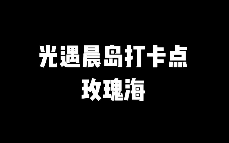 光遇晨岛打卡点玫瑰海网络游戏热门视频