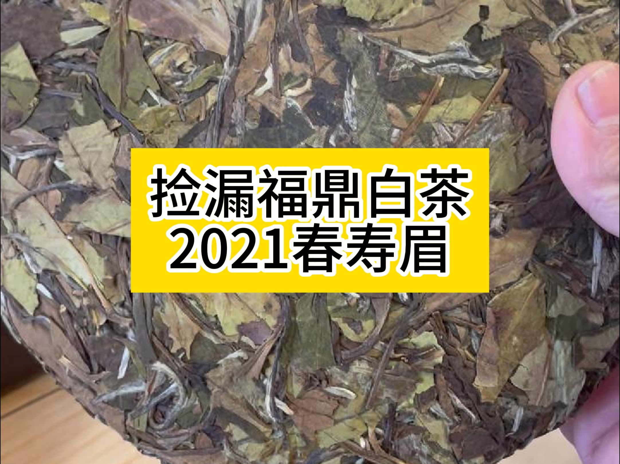 年前捡漏,2021年春寿眉饼,可焖可泡 #福鼎白茶 #老白茶哔哩哔哩bilibili