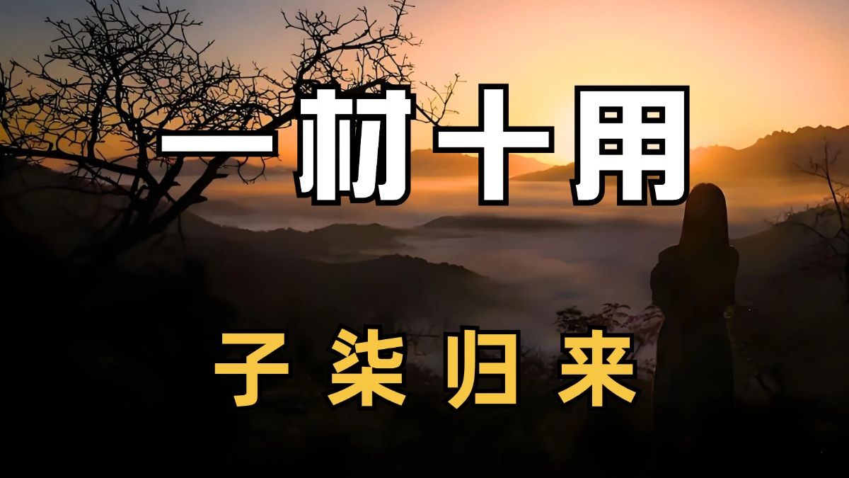 作文素材讲解 | 李子柒的一材十用哔哩哔哩bilibili