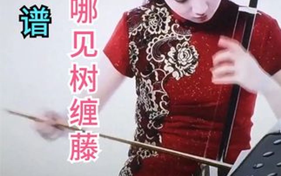 [图]《世上哪见树缠藤》青年二胡演奏家孟晓旭演奏！