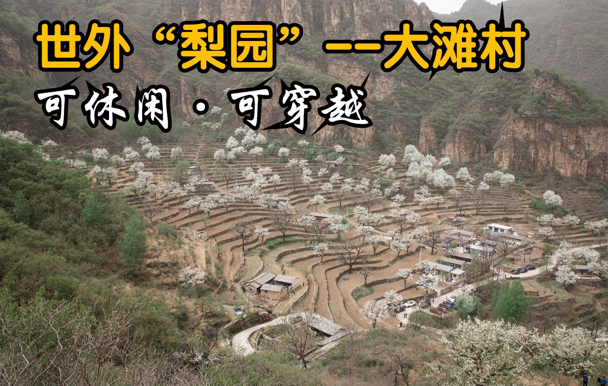 深山锁不住的美北京房山大滩村梯田古树梨花,可休闲可穿越哔哩哔哩bilibili