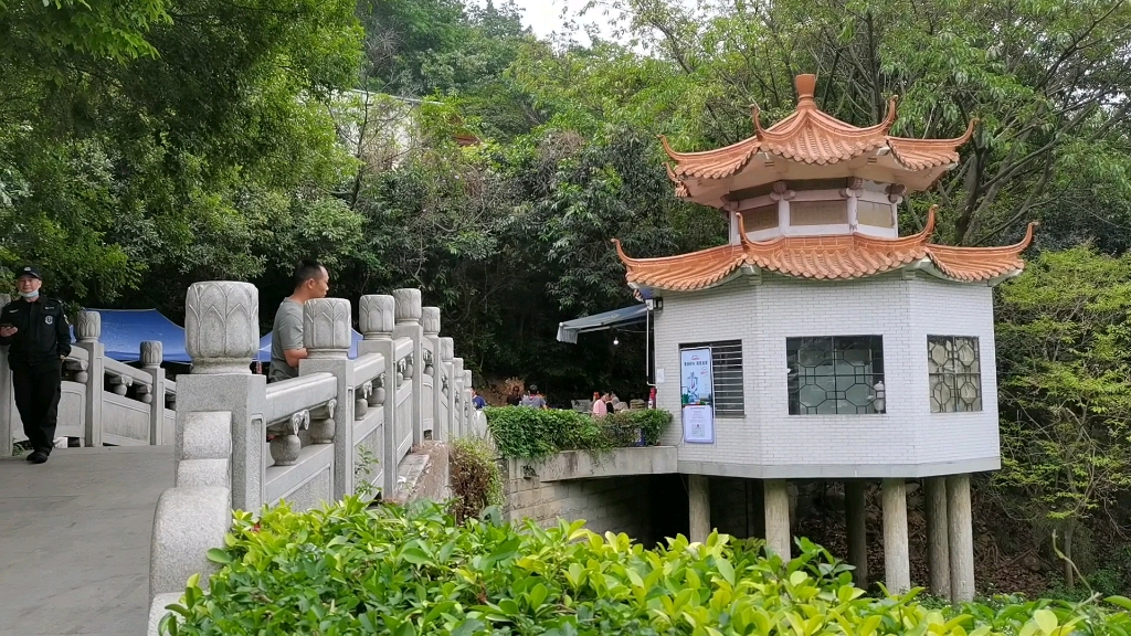 东莞长安莲花山山青水秀每年必爬的山