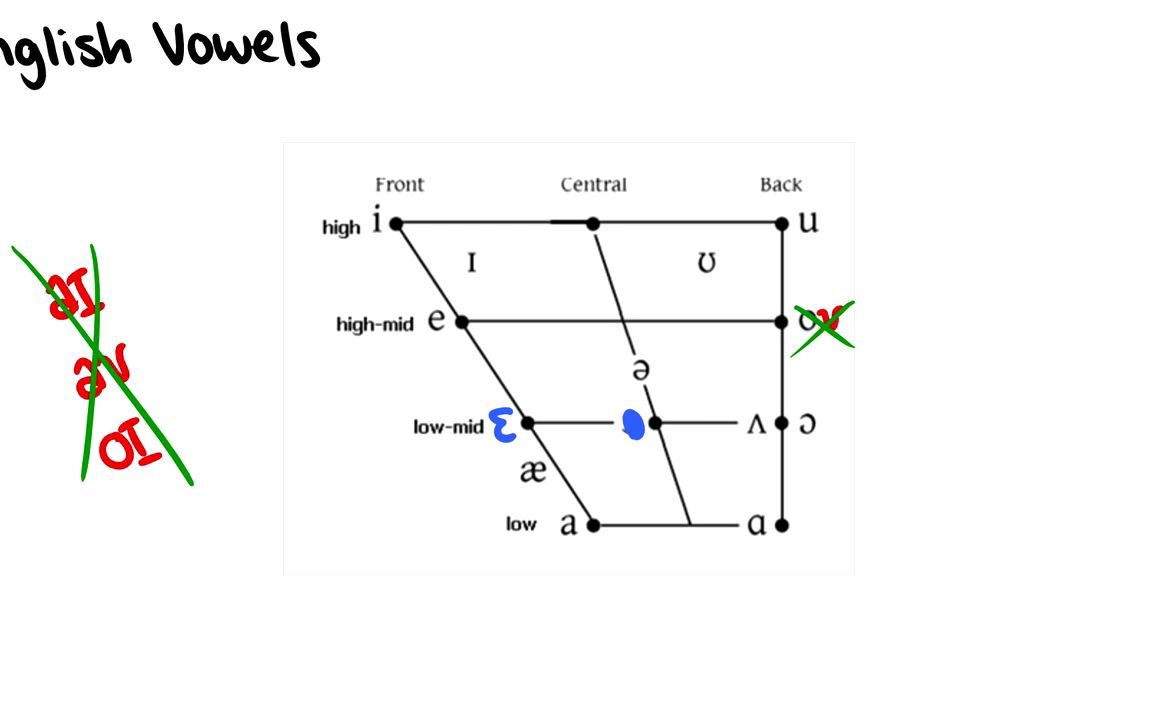 英语语音[Phonology]01 Phonemes, Allophones, and Minimal Pairs/音素,音位变体和最小对立对哔哩哔哩bilibili