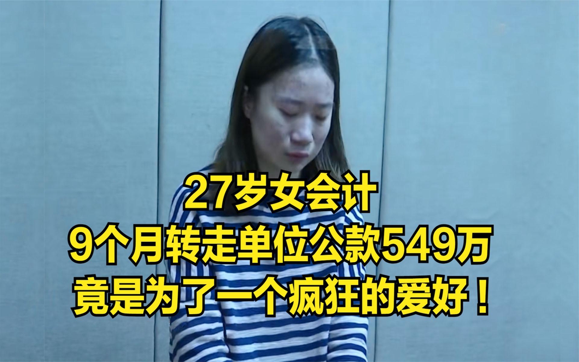 27岁女会计,9个月转走单位公款549万,竟是为了一个疯狂的爱好哔哩哔哩bilibili